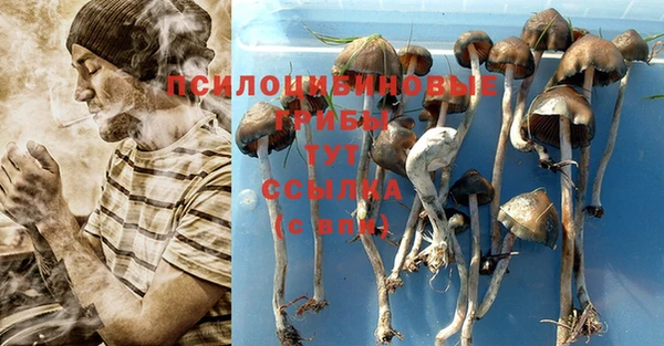 метадон Армянск