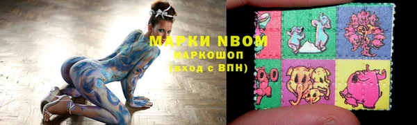 PSILOCYBIN Аркадак