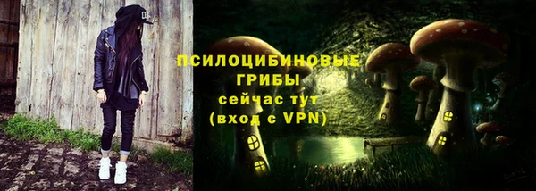метадон Армянск