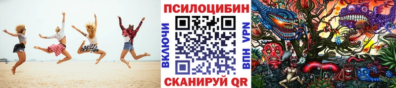это Telegram  Сасово  Псилоцибиновые грибы MAGIC MUSHROOMS 