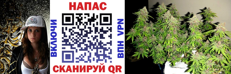 Бошки марихуана Bruce Banner  цены наркотик  shop клад  Сасово 